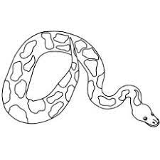 Color in this picture of a picathartes, a small type of bird that lives in the jungles and rainforests of africa. Top 25 Free Printable Snake Coloring Pages Online