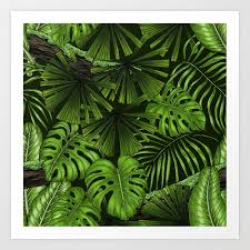4.5 out of 5 stars. Jungle Leaves Art Print By Katerina Kirilova Society6