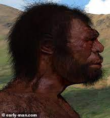Even so, this was mostly by incident. Ancient Dna Humans May Have Lived Alongside Both Denisovans And Neanderthals In Siberian Cave Todayuknews