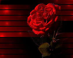 3d Abstract Red Rose Nature Flowers Hd Wallpaper Abstract Wallpaper Wallpaper Red Roses