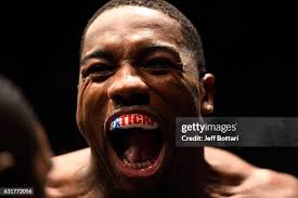 95 Chase Octagon Stock Photos, High-Res Pictures, and Images