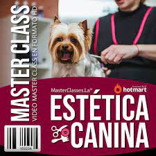Estetica Canina Solo Cursos Online