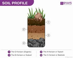 soil profile an overview of the layers and content of soil