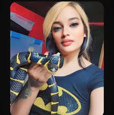 18th SPECIES of CROCODILE HATCHES AT THE ALLIGATOR FARM The St. Augustine  Alligator Farm Zoological Park announces the hatching of seven African  Dwarf Crocodiles (Osteolaemus afzelii). According to “A Guide to Identifying