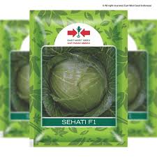 Berkualitas, bibit kubis ungu unggulan, jual benih kubis terbaik organik bibit sayuran yang cepat tumbuh, bibit sayuran eceran, bibit sayuran unik, bibit sayuran impor, bibit sayuran online. Sehati F1