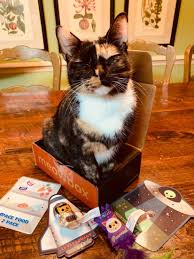 When the time gets close for the kittens to be born, you will know because your cat will begin to become restless and root around in rags, clothes o. Meowbox A Cat Subscription Box Filled With Fun Unique Toys And Treats