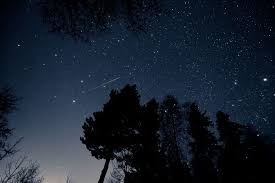 Terra Wandering In The Sky Night Sky Tumblr Forest Photos Earth Photos