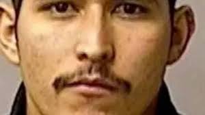 Man sentenced for aiding suspect after Northern California police officer's  slaying