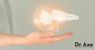 Image result for Lipase