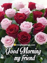 Good morning my dearest friend. 51 Good Morning Wishes With Rose Morning Greetings Morning Quotes And Wishes Images