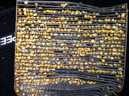 You need to change it at least once a year or every 20,000 miles. How To Replace Cabin Air Filter Mazda 6 Forums