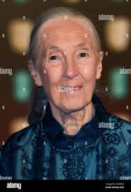 Dame jane hi-res stock photography and images