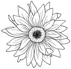 printable sunflower coloring pages pdf coloringfile com