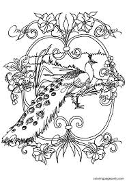 The finished embroidery picture will be 16x 22. Print Adult Animals Peacock Coloring Pages Peacock Coloring Pages Coloring Pages For Kids And Adults