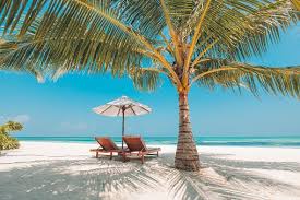 Vacation In Tropical Countries Beach Chairs Umbrella And Palm Trees Beautiful Beaches Summer Beach Pictures Beach Landscape