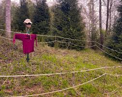 If you were a deer, would you be scared?