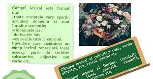 Types of semantic groups in the lexical system. Campul Lexical R E I Resurse EducaÈ›ie IncluzivÄƒ