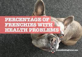 The french bulldog may potentially suffer from a range of health problems, both those that are genetically this makes the french bulldog very prone to problems such as overheating and heat stroke, and special care must be. What Percentage Of French Bulldogs Have Health Problems