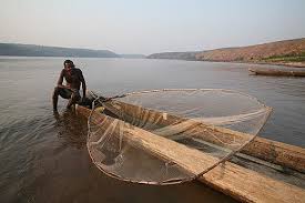 The congo gets its name. Evolution In The Deepest River In The World Science Smithsonian Magazine
