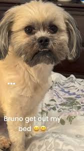 Instagram video by Sean Bann • Oct 12, 2024 at 12:32 PM