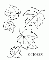 Fall Leaves Color Coloring Home Why not have a fall themed color palette?