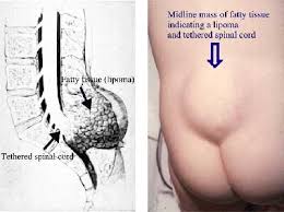 Related image