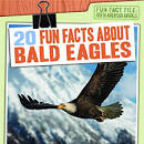 Image result for interesting facts about bald eagles