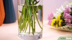 Does paracetamol make flowers last longer. 4 Ways To Make Fresh Flowers Last Longer Wikihow