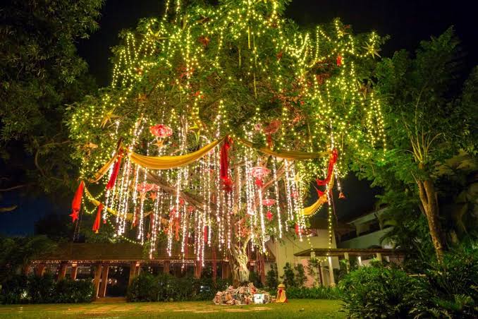 Goa Christmas & New Year