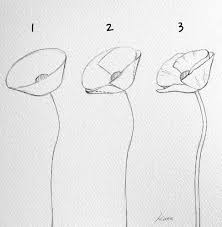 Blumen zeichnen schritt fur schritt. Drawing Flowers Drawingflowers Blumen Zeichnen Drawing Flowers Blumen Zeichnen Blumen Skizzen Blumen Zeichnung