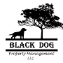 Black Dog Rentals from m.facebook.com