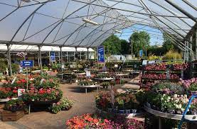 Thanks share this post if possible. Pin By Angie Enji On Greenhouse Plans Garden On A Hill Garden Center Family Garden