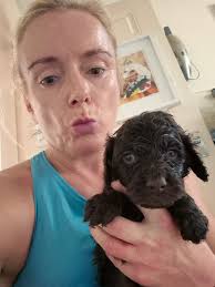 New BEAUTIFUL cockateils! We have 5 of them total! 2 of them are a mated  pair!