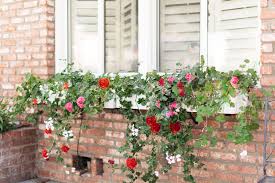 With all the new planter box liner material found today in the garden, you may have a pvc window box or one made from plastic. 9 Diy Window Box Ideas For Your Home