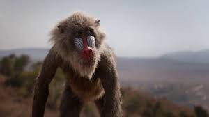 The Lion King Regele Leu 2019 Trailer Subtitrat In Romană Youtube