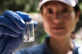 Magazine Main Story Title