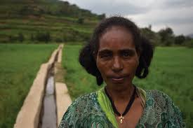 IFAD social reporting blog