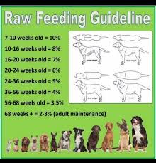 Pin On Dog Food Supplements