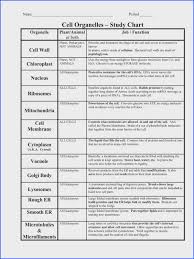 Cells And Organelles Worksheet Worksheet Fun And Printable