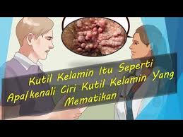 Pin Di Pengobatan Herbal Kutil