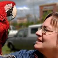 Chris Donner, Mystery Writer