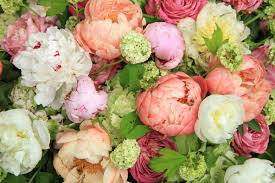 We did not find results for: What Colors Do Peonies Come In Garden Tabs