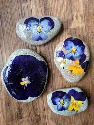 Check spelling or type a new query. Pressed Flower Rocks 8 Steps With Pictures Instructables