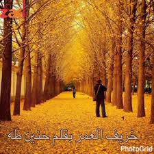 قصة خريف العمر قصة واقعية بقلم حنين طه زاكي Country Roads China Travel Farmland
