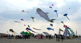 Cerf volant berck 2019 date. Le Festival Des Cerf Volants A Berck Un Emerveillement