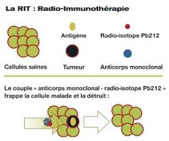 Anticorps monoclonaux contre le cancer. Une Nouvelle Arme Contre Le Cancer Nee De La Collaboration Entre Roche Et Areva Le Quotidien Du Pharmacien Fr