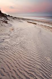 Any Way the Wind Blows