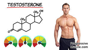 what are normal testosterone levels for a man full chart