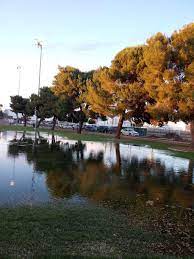 Amerigas locations & hours >. Cactus Park 3801 W Cactus Rd Phoenix Az 85029 Usa