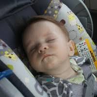 40+ "Carol Straub" profiles